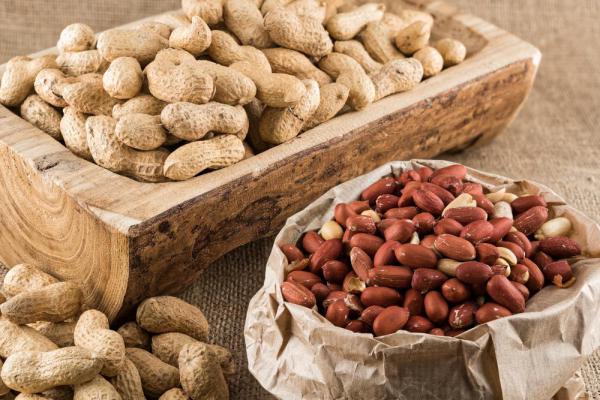 قیمت عمده بادام زمینی تازه همدان
