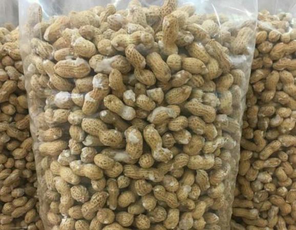 کارخانه عرضه بادام زمینی بسته بندی در تهران