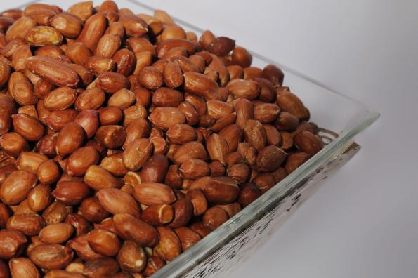 برترین صادرکننده بادام زمینی در دشت مغان