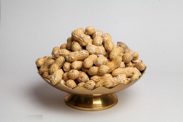 برترین توزیع کنندگان انواع بادام زمینی ایرانی