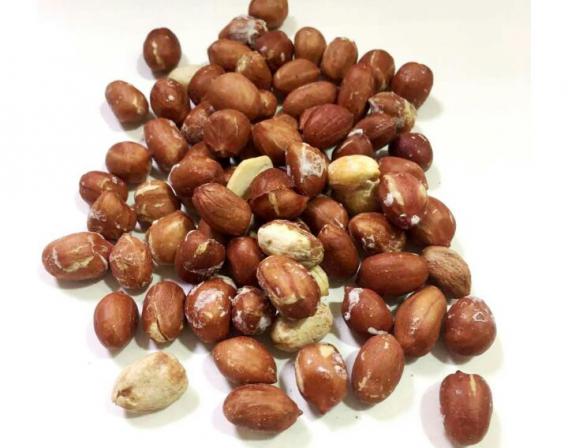 بادام زمینی آجیلی سرشار از پروتئین