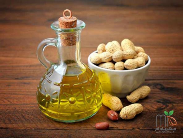 عرضه کنندگان انواع بادام زمینی مخصوص روغن گیری