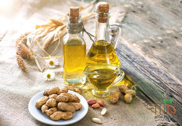 فروش کلی بادام زمینی مخصوص روغن گیری